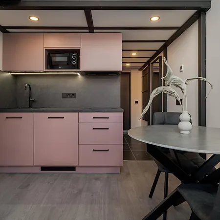 Apartment Pinky Loft In Centre Self Check-in No 3 Vilnius
